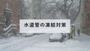 雪に埋もれた住宅街の道