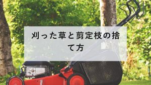 芝刈り機と刈った草